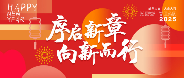 新向维集团2024年度回顾